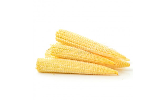 Baby Corn  -  Exotic - 300 g