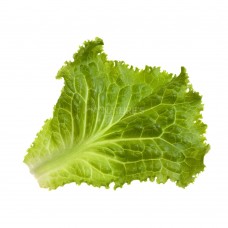 Lettuce Green Leaf - Exotic - 250 g