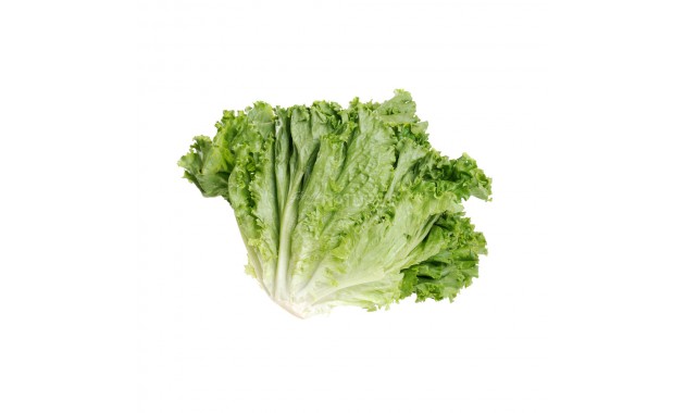 Lettuce Romaine Green  -  Exotic - 250 g