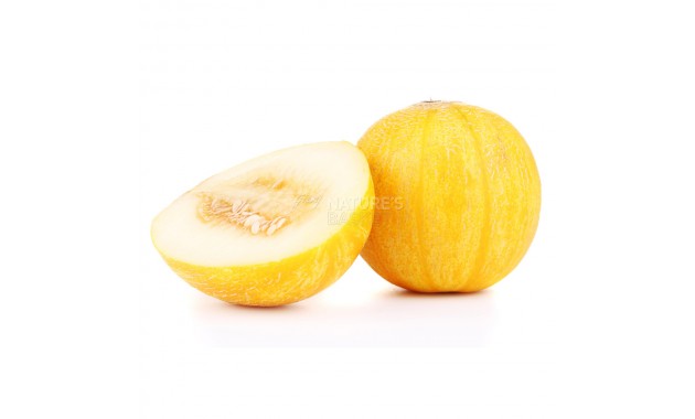 Melody Melon - 2 kg