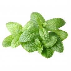 Mint - Natures Best - 100 g