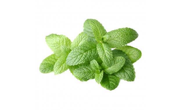 Mint - Natures Best - 100 g
