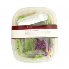 Ready to Eat Salad  -  Exotic - 1 N